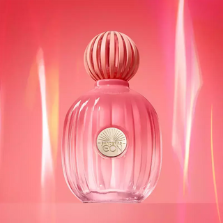 The Icon Splendid Banderas Eau de Parfum - Perfume Feminino
