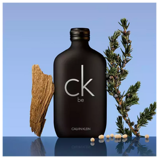 CK Be Calvin Klein Eau de Toilette - Perfume Unissex