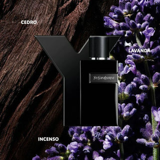 Y Le Parfum Saint Laurent Eau de Parfum - Perfume Masculino