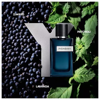 Y Intense Saint Laurent Eau de Parfum - Perfume Masculino