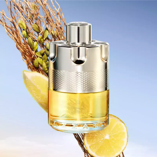 Wanted Azzaro Eau de Toilette - Perfume Masculino