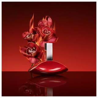 My Euphoria Calvin Klein Eau de Parfum - Perfume Feminino