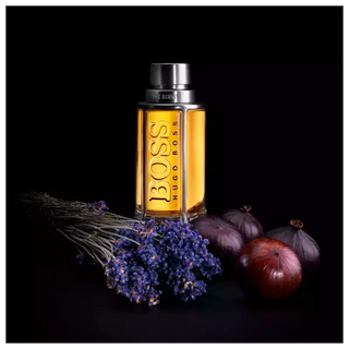 The Scent Boss Eau de Toilette - Perfume Masculino