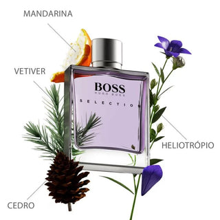 Selection Boss Eau de Toillete - Perfume Masculino