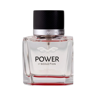 Power of Seduction Banderas Eau de Toilette - Perfume Masculino
