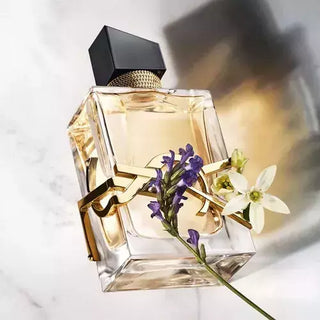 Libre Saint Laurent Eau de Parfum - Perfume Feminino