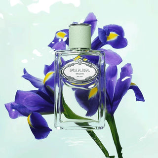 Infusion D'Iris Prada Eau de Parfum - Perfume Feminino